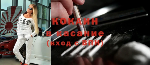 твердый Дмитров