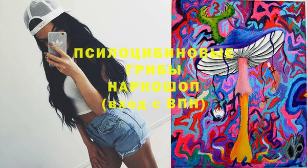 мет Дмитриев