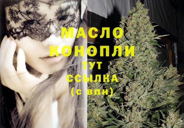 мет Дмитриев
