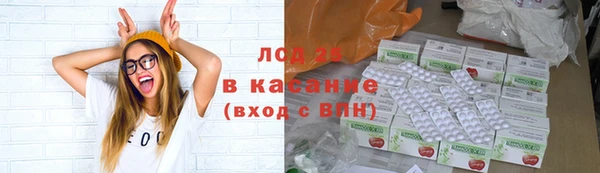 твердый Дмитров