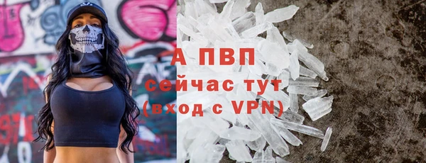 твердый Дмитров