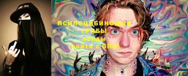 мет Дмитриев
