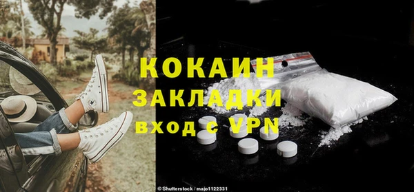 мет Дмитриев