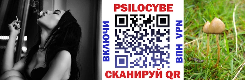 Галлюциногенные грибы ЛСД Купить где Рыльск