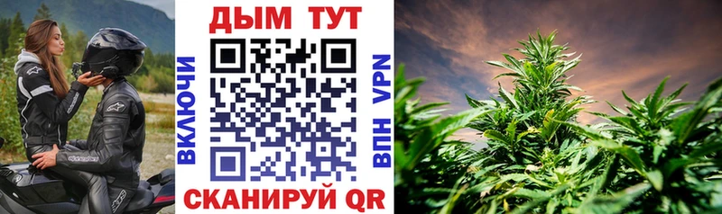 Купить где  Рыльск  Бошки марихуана сатива 